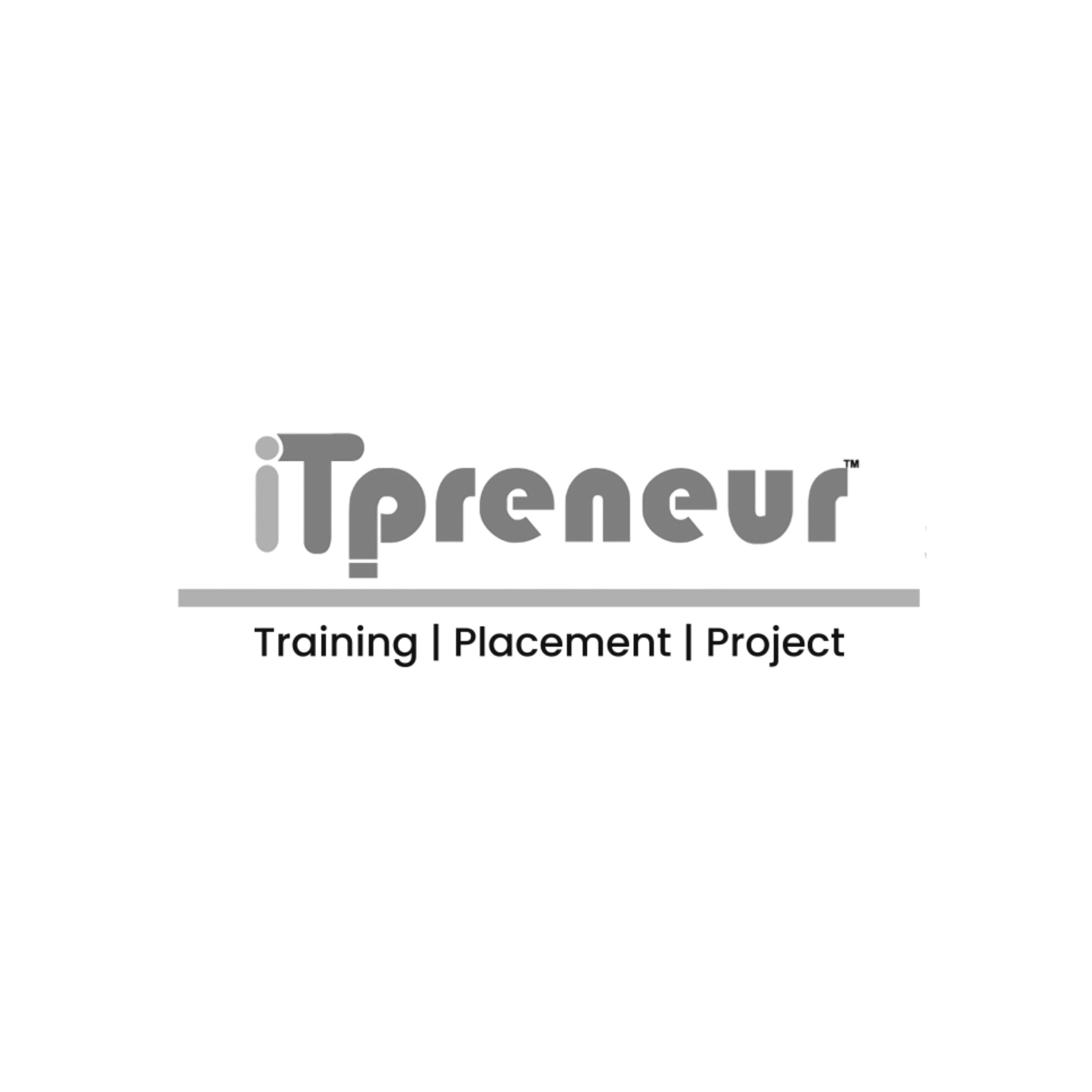 iTpreneur